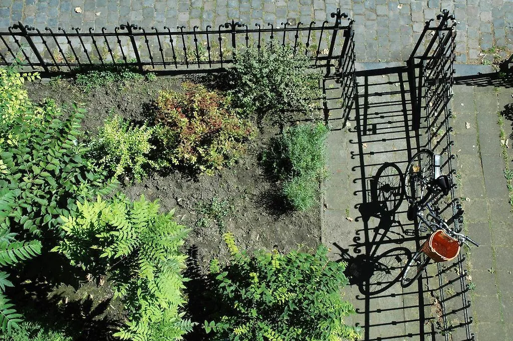 Villa Des Roses Voltaire Brussels 0*,